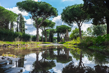 Via Appia in Rome - the ancient Roman road called the Appian Way, with tall pine trees and ruins of buildings reflected in the puddle of water