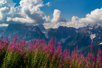 Obraz premium View from Monte Elmo near Sesto, Trentino Alto Adige - Italy
