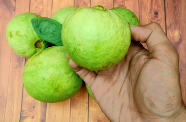 guava - hands that hold fresh guava fruit with a wooden background