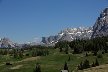 Fototapeta na wymiar Seiser Alm in den Dolomiten, Südtirol, Italien, Europa
