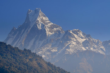 Fototapeta na wymiar Nepal, Annapurna Conservation Area, Machapuchare or Machhapuchhre 
