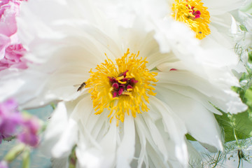 Spring Peony Bouquet