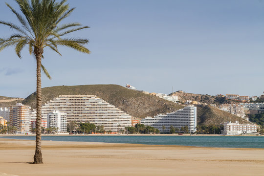 Mediterranean sea and palm tree in cullera beach