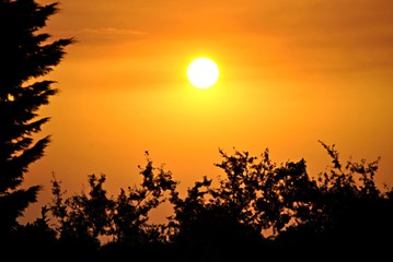 Obraz premium Coucher de soleil