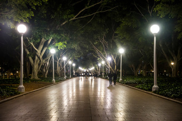 Hyde park at night, Sydney, Australia