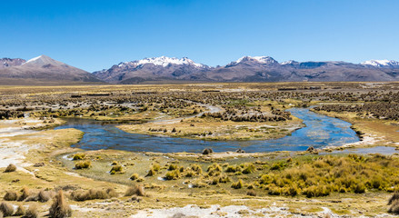 high Andean tundra landscape in the mountains of the Andes.