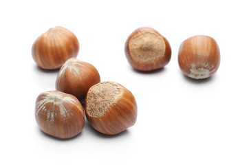 Chestnuts isolated on white background