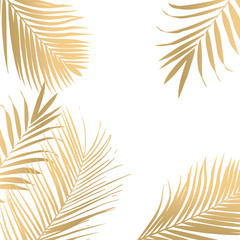 Fototapeta na wymiar Vector tropical Golden palm leaves on white background