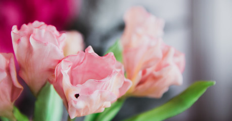 Pink flowers in soft style for background