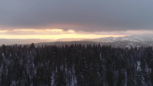 Aerial shot flying over forest in winter near sunset. Sun hides behind clouds in warm golden glow. Snow on ground, mountains in California.