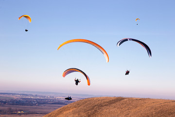 paragliders