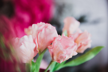 Pink flowers in soft style for background