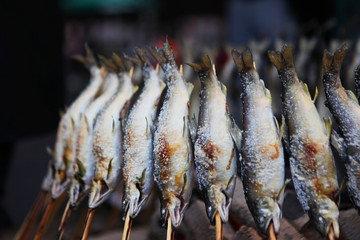 Japanese BBQ grilled fish around coal