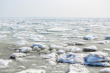 Chunks of ice float and melt in a river or lake as a backdrop to the spring landscape