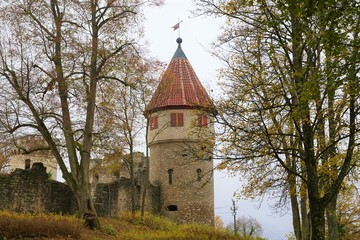 Fototapeta na wymiar Die Ruine Honberg liegt auf der gleichnamigen Anhöhe inmitten der Stadt Tuttlingen, am Rande des Schwarzwalds und der Schwäbischen Alb. 