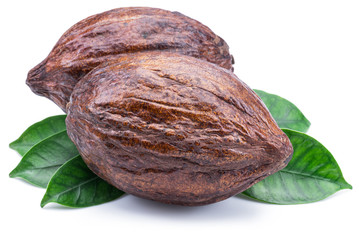 Cocoa pods with cocoa leaves isolated on a white background.