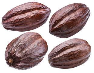 Cocoa pods on a white background. Clipping path.