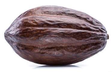 Brown cocoa pod isolated on a white background.