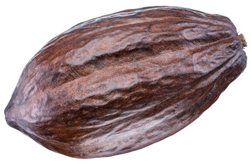 Cocoa pod on a white background. Clipping path.
