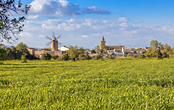 Panoramic View over Algaida in Mallorca, Spain