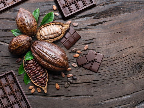 Cocoa Pod, Cocoa Beans And Chocolate On The Wooden Table. Top View.