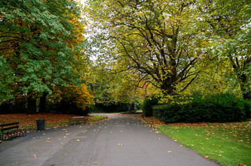 Saint Stephen's Park alley on a beautiful autumn day with green and yellow colored trees and leaves falling on the ground in Dublin, Ireland. Irish fall landscape.
