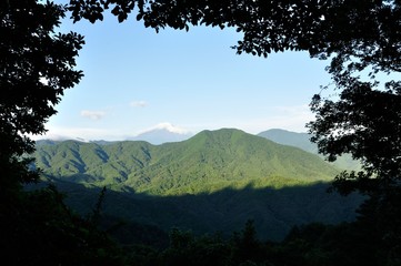 森の額縁からのぞく富士山