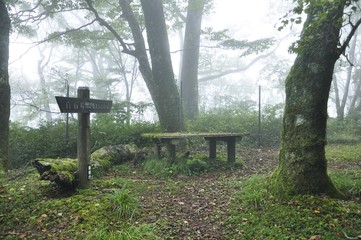 山霧の水晶沢ノ頭