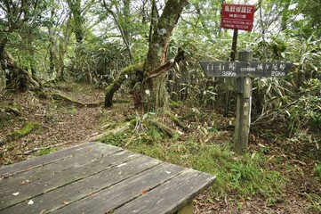 甲相国境尾根 モロクボ沢ノ頭