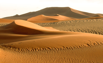 pattern in den sand of famous beautiful red dunes in Namibia