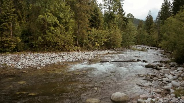 Serene water river stream flowing amidst green woods in the countryside of Serock town
