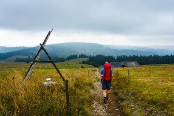 Wanderer auf Wanderweg, Feldberg, Schwarzwald, Deutschland