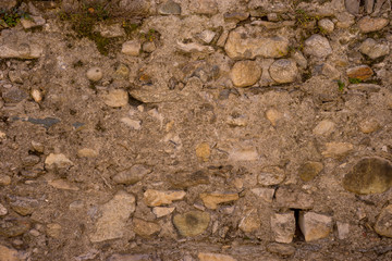 Italy, Bellagio, Lake Como, a close up of a rock