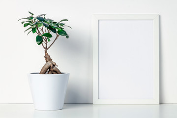Shelf at home against a white wall. A mockup frame with space for text or graphics. A bonsai decoration in a white pot. Scandinavian style.