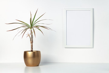 Shelf at home against a white wall. A mockup frame with space for text or graphics. Decoration from...