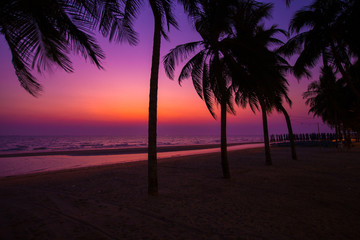 sunset on the beach