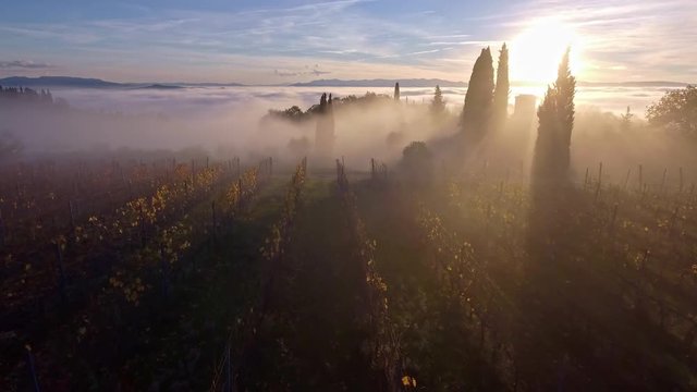 drone flying over foggy mediterranean landscape with beautiful wineries