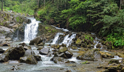 small waterfall in morning dawn sunlight, fast stream in forest under wooden bridge, Carpathians, Ukraine. "Kamyanka" waterfall in the Carpathians, the national park of "Skole Beskydy"