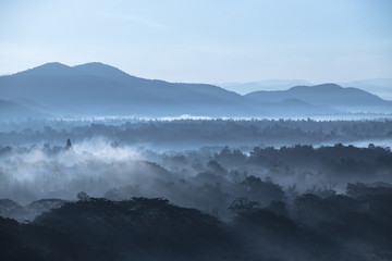 fog in the mountains