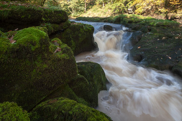 the Strid at Bolton Abbey