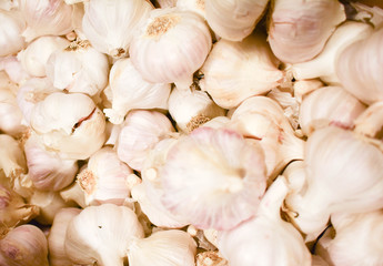 little neck garlic