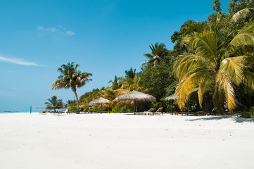 Tropical paradise white sand beach with palms at Maldives south ari atoll laccadive sea Indian ocean