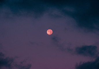 The purple sky