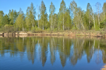 River spring landscape in the national Park 