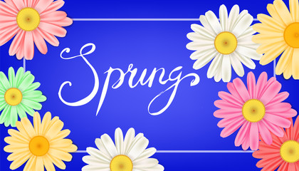 Spring banner. Hand drawn lettering. Background with chamomile, daisy. Spring Time template, flyer, posters, brochure. Happy spring Day. Fashionable styling. Flower vector isolated