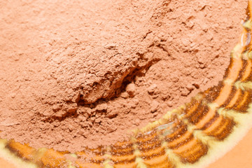 Dry cocoa powder poured into a brown ceramic plate