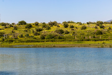 River in the Golan Heights in Israel