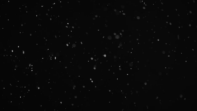 Natural Organic Dust Particles Floating On Black Background. Dynamic Dust Particles Randomly Float In Space With Fast And Slow Motion. Shimmering Glittering White Particles With Bokeh In The Air.