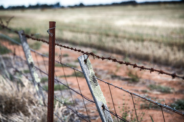 Fototapeta premium A barbed wire fence and old wood fence posts on an outback Australian farm during a drought.
