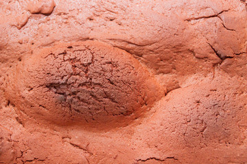 Dried in the oven cake dessert chocolate brownie
